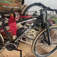 Bicicletta m bike