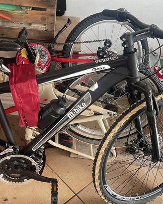 Bicicletta m bike