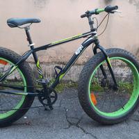 Fat Bike