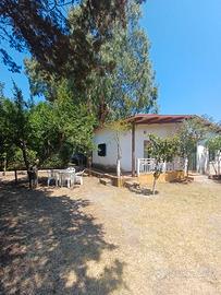 Casa mare dal 14 agosto 2 persone