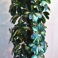 Pianta artificiale Schefflera variegata 