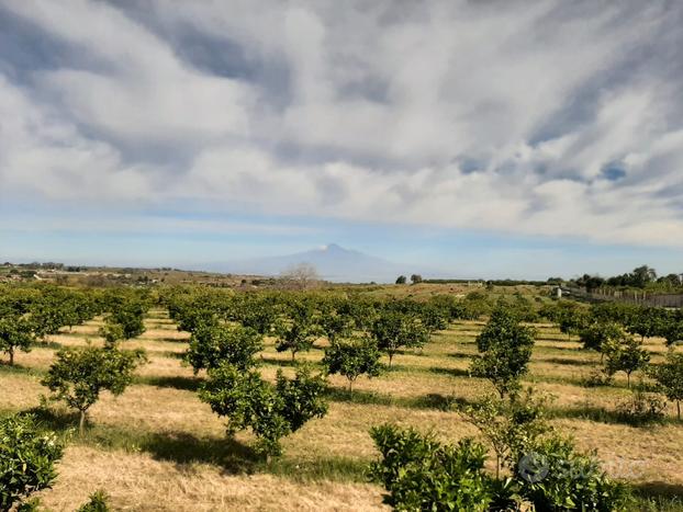 Terreni agricoli a Melilli