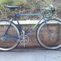 Atala campagnolo