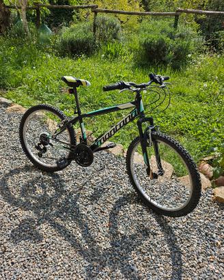 MTB 24"