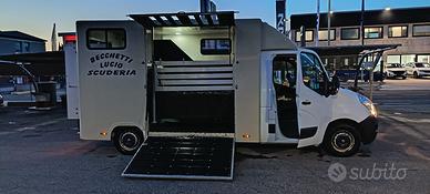 VAN TRASPORTO CAVALLI 2 POSTI