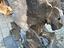 Immagine 26