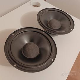 Coppia Woofer Peerless KP825PG.8