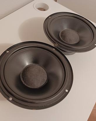 Coppia Woofer Peerless KP825PG.8