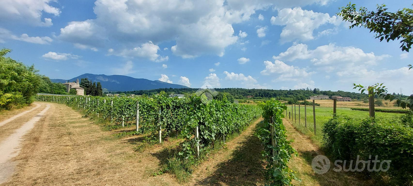 TER. AGRICOLO A CAPRINO VERONESE - Vista 2