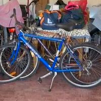 Bicicletta city bike 28  single Speed Carraro