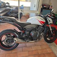 Honda Hornet PASSAGGIO INCLUSO