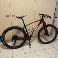 Sworks mtb