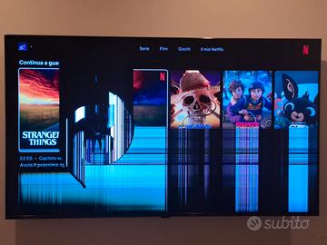 LG 55QNED756RA 55" 4K funzionante – pannello rotto