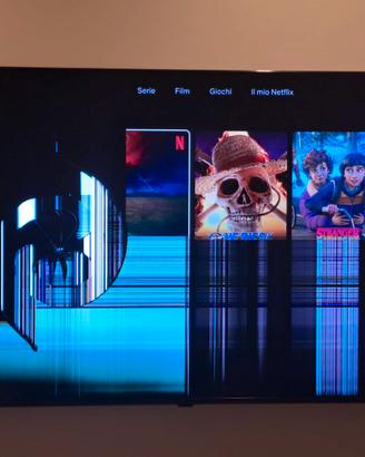 LG 55QNED756RA 55" 4K funzionante – pannello rotto