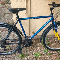 Bicicletta montagna 26"