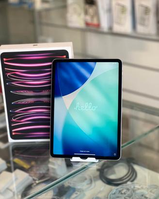iPad Pro 11 5ª Gen  256GB-Wi-Fi-USATO AZIENDALE