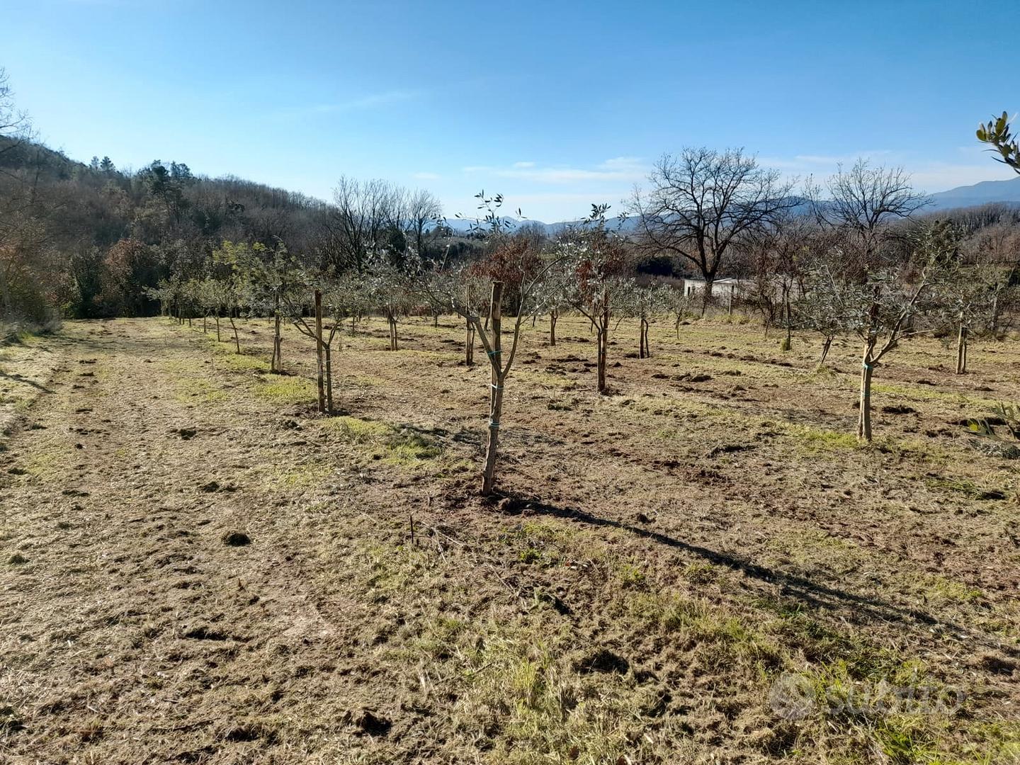 Terreno Agricolo a Riardo (CE) - Zona Panoramica v - Vista 4