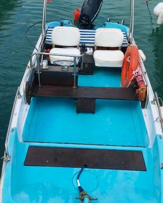 Barca Boston Whaler