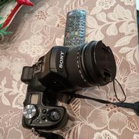 Massima professionalità 