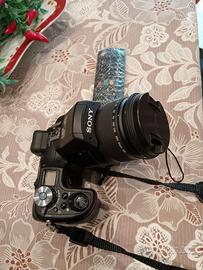 Massima professionalità 