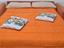 Immagine 12