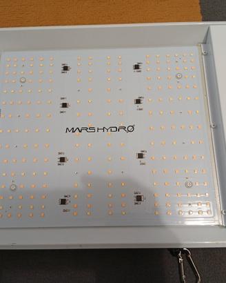 lampada Mars hydro TS 600