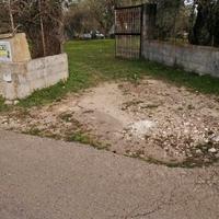 Uliveto edificabile