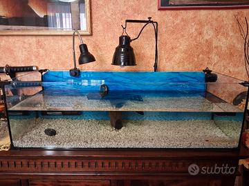 acquario tartarughiera  120 lt.