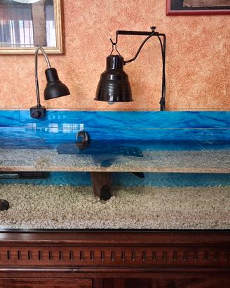 acquario tartarughiera  120 lt.