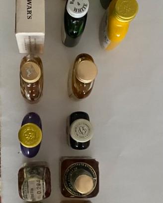 Mignon whisky vintage da collezione 24 pz