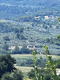 Proprietá Panoramica Bevagna (PG)