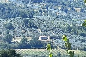 Proprietá Panoramica Bevagna (PG)