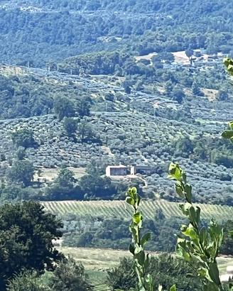 Proprietá Panoramica Bevagna (PG)