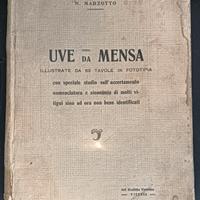 Uve da Mensa - N. Marzotto - 1912