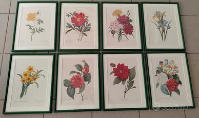 Quadretti stampe floreali vintage