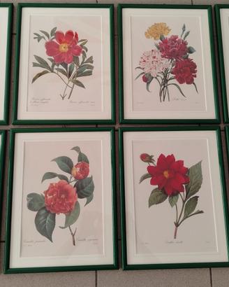 Quadretti stampe floreali vintage