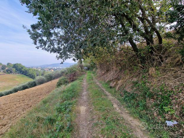 Terreno agricolo - Monsampolo del Tronto