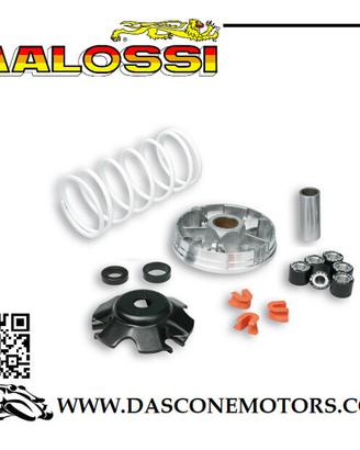 Variatore MULTIVAR 2000 per scooter SCARABEO