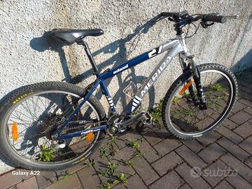 MTB Meriva