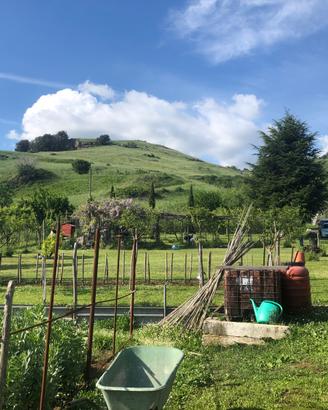 Terreno agricolo Grottaferrata