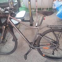 Bicicletta da passeggio