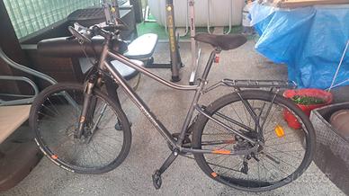 Bicicletta da passeggio