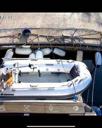 TENDER IDEA MARE 2,30 +MOTORE ELETTRICO WATERSNAKE