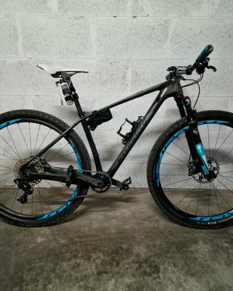 specialized ht full carbon, sid, xtr, nx v11