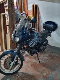 triunph tiger 900