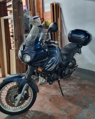 triunph tiger 900