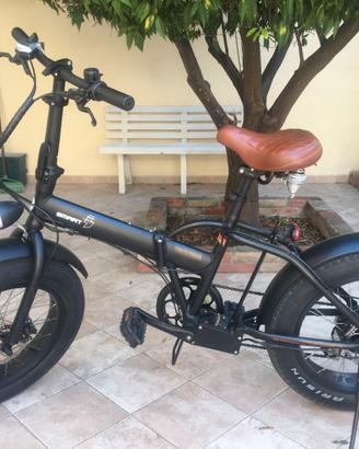 Bicicletta Elettrica 