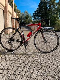 Olmo Scatto 9v