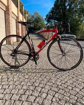 Olmo Scatto 9v