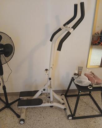 step palestra 